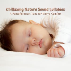Chillaxing Nature Sound Lullabies: A Peaceful Insect Tune for Baby's Comfort - LBE Nature Recordings