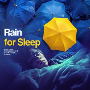 Rain for Sleep - Lightning, Thunderstorms & Rain Storm Sounds
