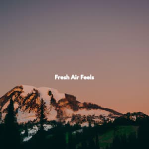 Fresh Air Feels - Jazz Romántica para Hoteles