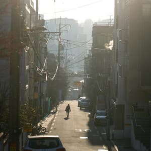 180 Flip: Looping Radiance - Lofi Chill