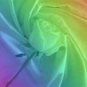 Chill-hop - Bgm for Fast Spirits - Chill Hop Lofi Study Beats