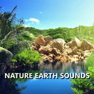 Nature Earth Sounds - Earth Sounds