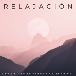Relajación: Naturaleza Y Sonidos Nocturnos Para Dormir Vol. 1 - ADN de la naturaleza