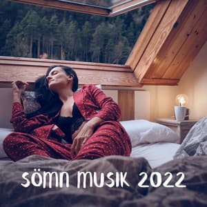 Sömn musik 2022 - Meditationsmusik zen institute