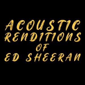Acoustic Renditions of Ed Sheeran - Guitar Tribute Players