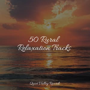 50 Rural Relaxation Tracks - Spa Zen