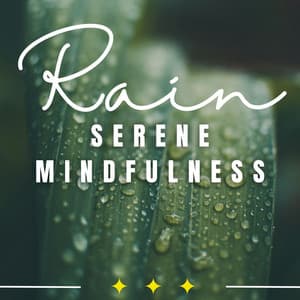 Meditative Rainfall: Zen Soundscapes - 1 Hour Meditation