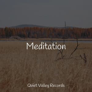 Meditation - Rain Sounds Rain