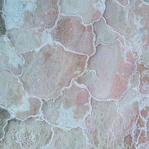 Fluffy Dreams - Soft Panda