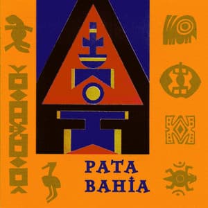 Pata Bahia - Norbert Stein