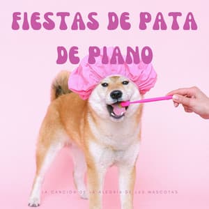 Fiestas De Pata De Piano: La Canción De La Alegría De Las Mascotas - Relajantes mañanas de jazz
