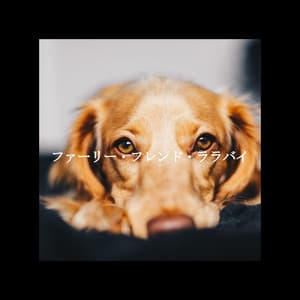 ファーリー・フレンド・ララバイ - Smooth Jazz Deluxe