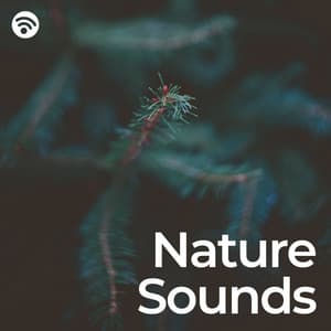 Nature Sounds: Pure Relaxation - Naturaleza Exige