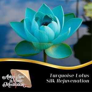 Turquoise Lotus Silk Rejuvenation - Asian Spa Music Meditation
