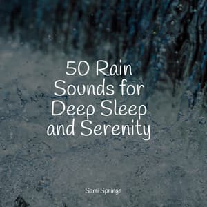 50 Rain Sounds for Deep Sleep and Serenity - Sample Rain Library