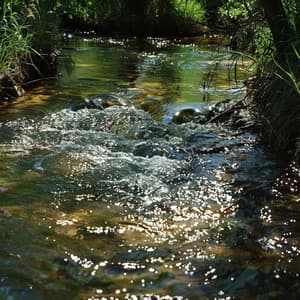 Soothing Binaural Water for Total Body Relaxation - Relax My Puppy
