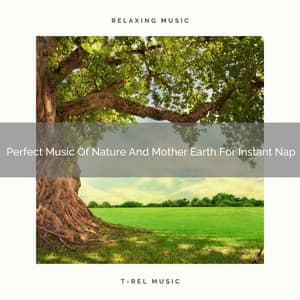 Perfect Music Of Nature And Mother Earth For Instant Nap - Nature Sound Series