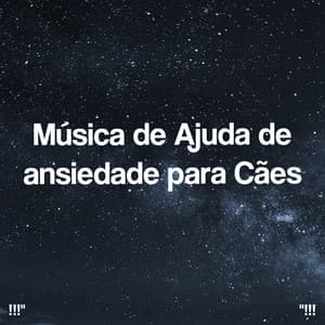 Música de Ajuda de ansiedade para Cães - Musica Relajante