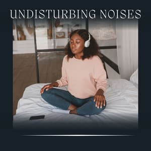 Undisturbing Noises - Brown Noise Deep Sleep