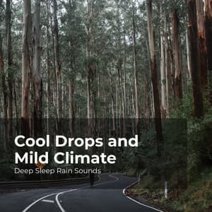 Cool Drops and Mild Climate - Deep Sleep Rain Sounds