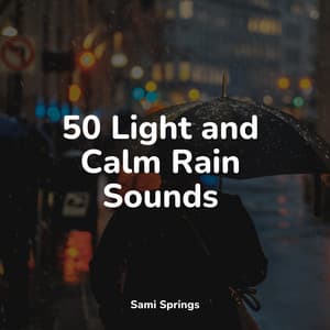 50 Light and Calm Rain Sounds - Rain Shower Spa