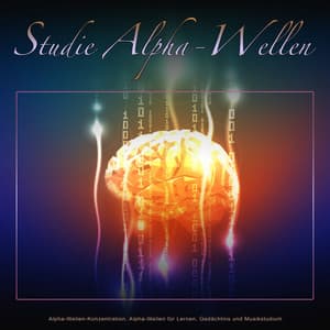 Studie Alpha-Wellen: Alpha-Wellen-Konzentration, Alpha-Wellen für Lernen, Gedächtnis und Musikstudium - Alpha-Wellen