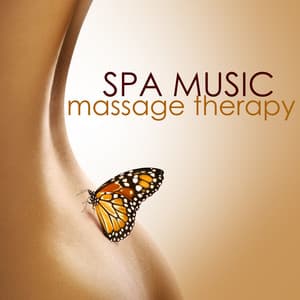 Spa Music for Massage Therapy - Massage Therapy Ensamble