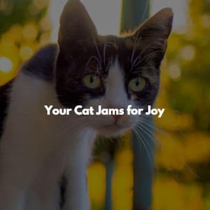 Your Cat Jams for Joy - Feel Good Morning Music
