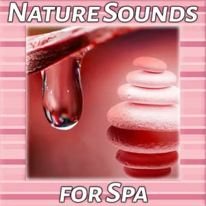 Nature Sounds for Spa – Gentle Music for Massage, Inner Balancing, Calm Nature Sounds for Relaxation, Reiki - Nature Tribe