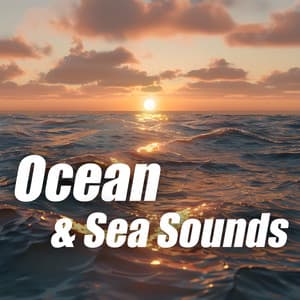 Ocean & Sea Sounds - Sea Sounds