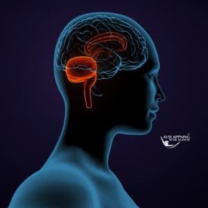 Detox tallkottkörteln & Avancerad helande terapi - Avslappning Musik Akademi