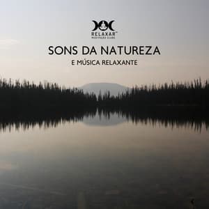 Sons Da Natureza E Música Relaxante - Ambiente De Floresta, Cantos De Pássaros, Sons De Rio - Relaxar Meditação Clube