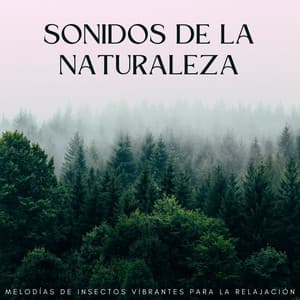 Sonidos De La Naturaleza: Melodías De Insectos Vibrantes Para La Relajación - Colección de sonidos de la naturaleza