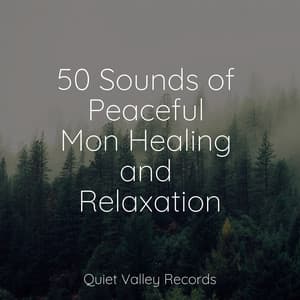 50 Sounds of Peaceful Mon Healing and Relaxation - Rain Sound Studio