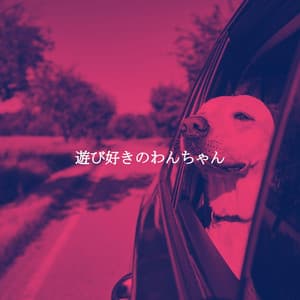 遊び好きのわんちゃん - Chill Jazz