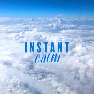 Instant Calm - Namah Shina
