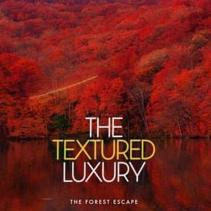 The Textured Luxury - The Forest Escape