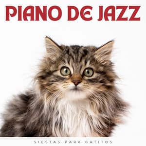 Piano De Jazz: Siestas Para Gatitos - Jazz suave Nueva York