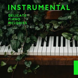 Instrumental Delicate Piano Melodies: Relax After Long Day, Drink Time - Jazz Piano Bar Academy