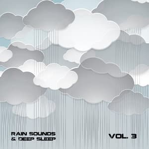 Rain Sounds and Deep Sleep, Vol. 3 - The Premier Deep Sleep Rain Experts