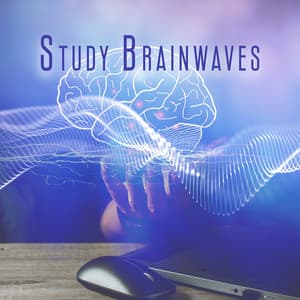 Study Brainwaves: Unlock Your Mind, Improve Your Focus - Pro Sound Effects Library
