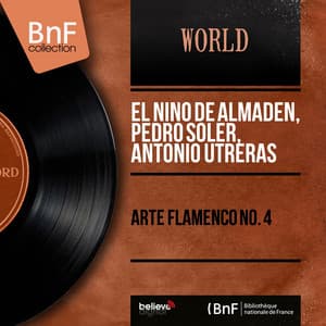 Arte Flamenco No. 4 - Niño de Almadén