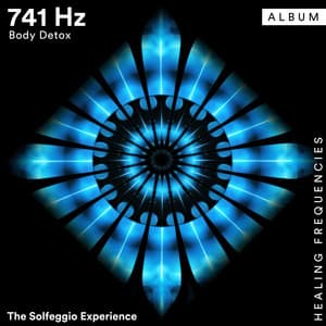 741 Hz Body Detox - The Solfeggio Experience