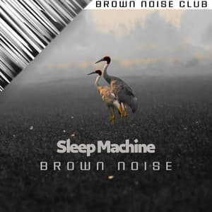 Sleep Machine Brown Noise - Brown Noise Club