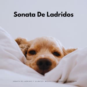 Sonata De Ladridos Y Silbatos: Música Para Tiempos Divertidos - Generar vibraciones