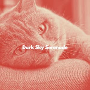 Dark Sky Serenade - Música para dormir Gatos