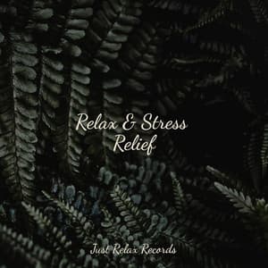 Relax & Stress Relief - Natural Sounds