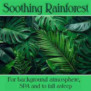 Soothing Rainforest: Sounds for background atmosphere, SPA and to fall asleep - Sounds of the Jungle