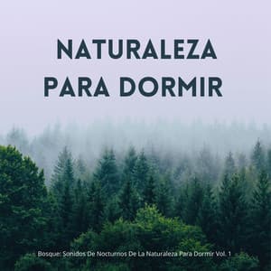 Bosque: Sonidos De Nocturnos De La Naturaleza Para Dormir Vol. 1 - Musica del bosque
