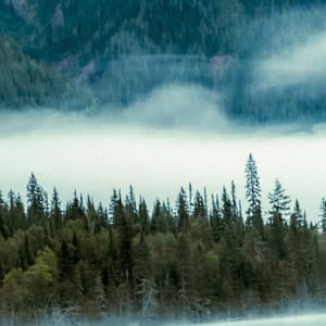 10 AM Wellness: Drifts Of Positivity - Relaxing Music Therapy